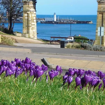 Orchard House - 4 Bed - Vakantiehuis Scarborough